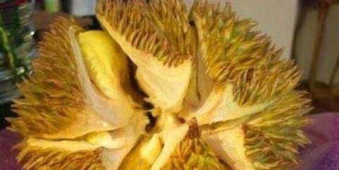 买榴莲时挑大的还是小的好-榴莲应该怎么挑选7