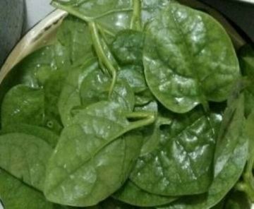 木耳菜的功效与作用-蒜蓉木耳菜的做法1