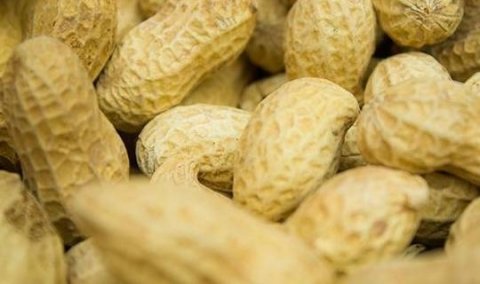 吃生花生能缓解胃酸烧心吗-胃烧心可以吃花生吗1