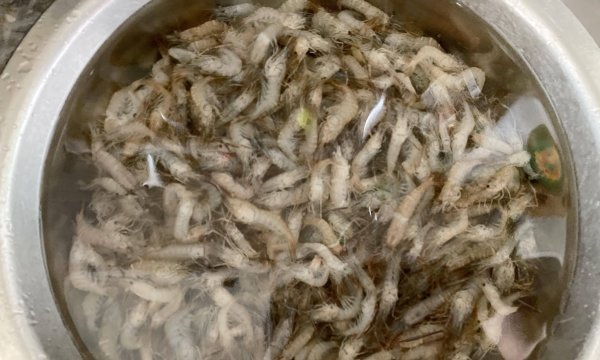 小河虾怎么爆炒好吃-爆炒小河虾的家常做法2