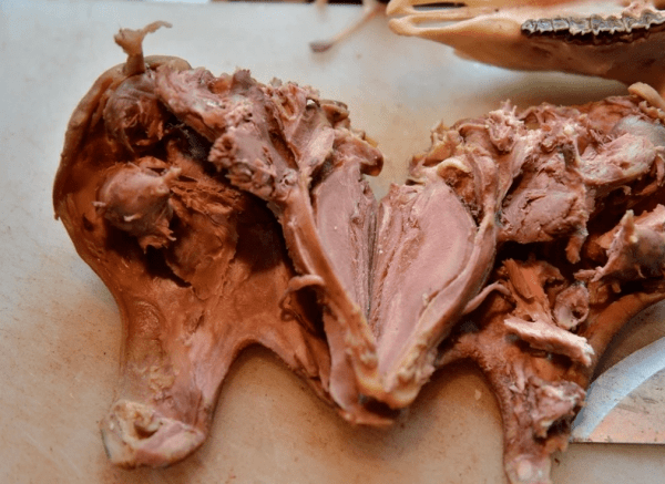 羊肉哪些部位好吃-羊肉最好吃的部位5