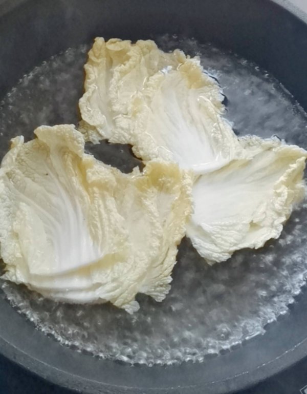 补钙吃什么食物好-白菜鸡肉卷怎么做2