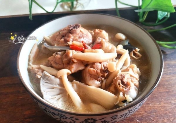 小鸡炖蘑菇用的什么蘑菇-...