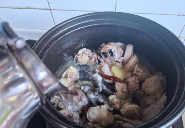 小鸡炖蘑菇用的什么蘑菇-小鸡炖蘑菇的家常做法5