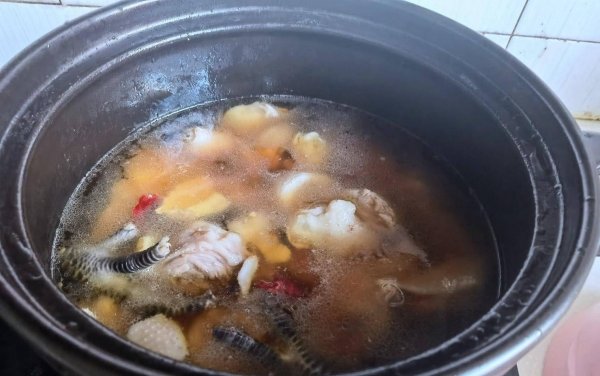 小鸡炖蘑菇用的什么蘑菇-小鸡炖蘑菇的家常做法6
