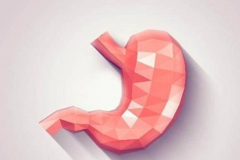 养胃食物真的养胃吗-胃病多喝粥好吗1