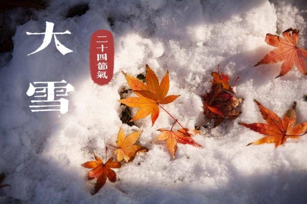 大雪节气吃什么食物-大雪节气养生饮食1
