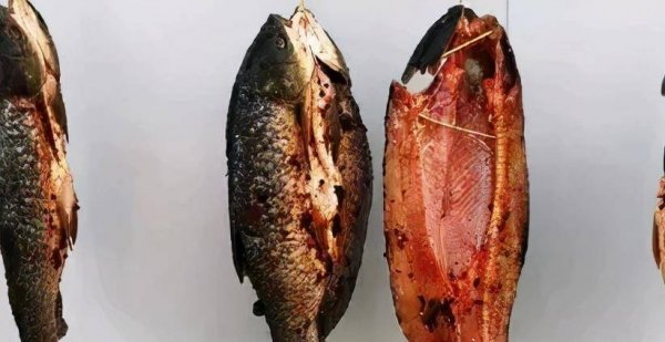 腊鱼怎样腌制才不会臭-腊鱼腌制方法3