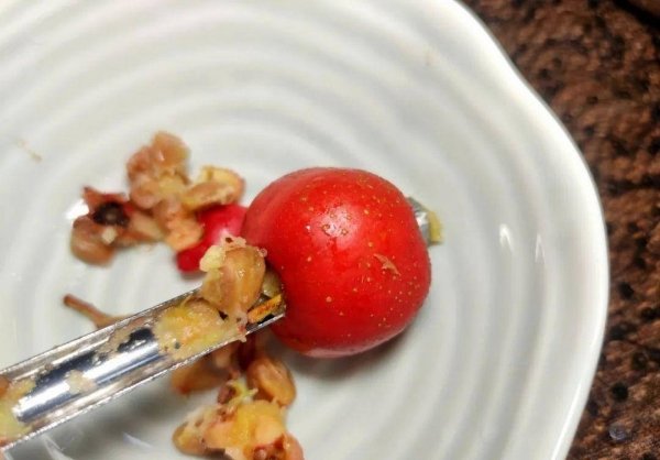 山楂可以做成哪些食品-糖桂花酿山楂5