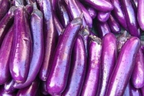 什么菜不能烫火锅-火锅不能煮的菜3
