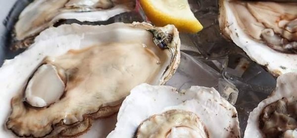 八种超级昂贵的食材有哪些-八种超级昂贵的食材是什么3