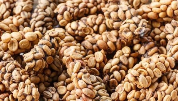 八种超级昂贵的食材有哪些-八种超级昂贵的食材是什么8