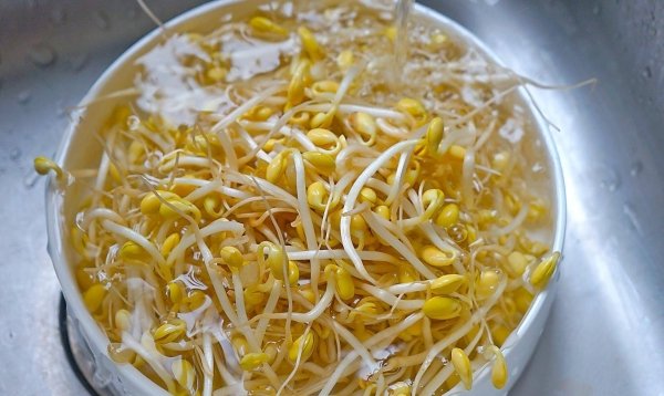 黄豆芽粉丝怎么炒-黄豆芽炒粉丝的家常做法4