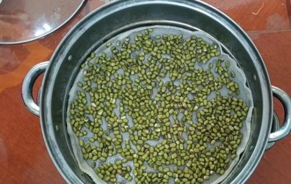 在家怎样发豆芽-发豆芽最简单的方法3