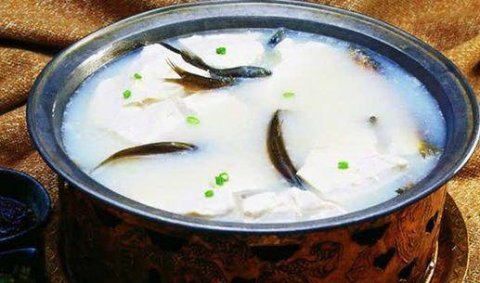 泥鳅为什么会钻豆腐里-泥鳅钻豆腐的原因1