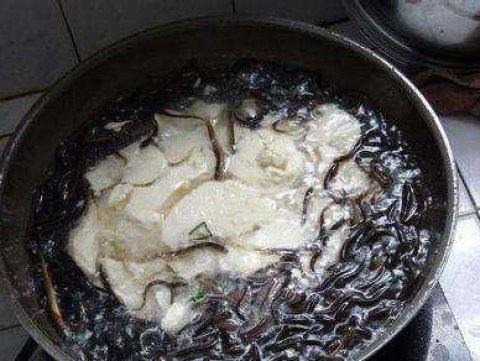 泥鳅为什么会钻豆腐里-泥鳅钻豆腐的原因2