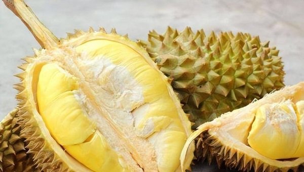 榴莲为什么那么贵-榴莲能大规模种植吗6