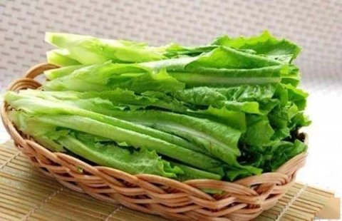 春分后最养人的蔬菜有哪些-适合春分后吃的蔬菜3