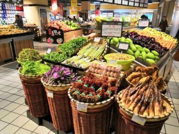 如何科学食用野菜-食用野菜应该注意什么1