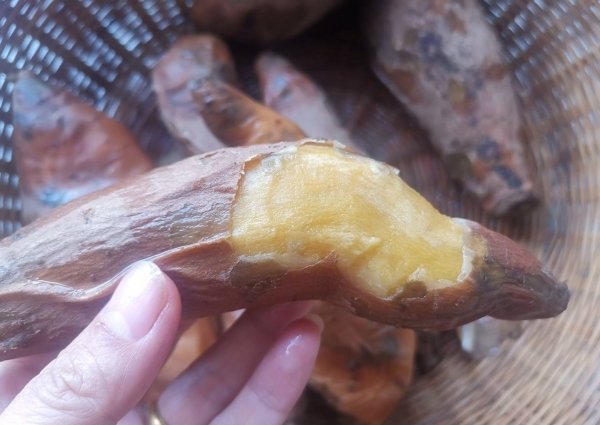 地瓜干怎么做又软又好吃-地瓜干的做法3