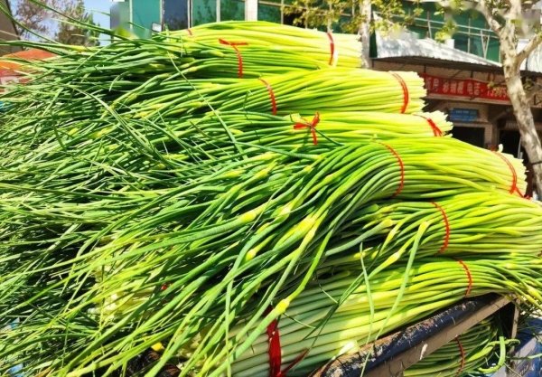 蒜苔红头和绿头有什么区别-挑选蒜苔的方法1