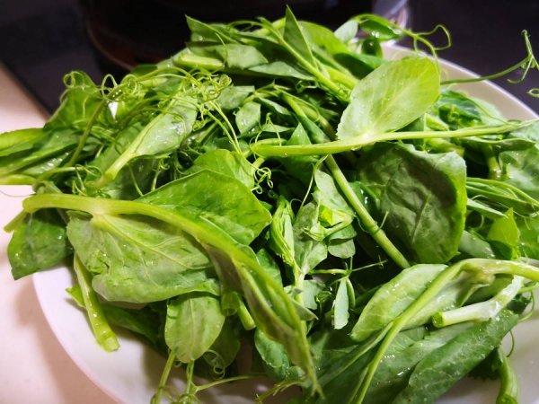 豌豆尖怎么做好吃-豌豆尖的做法3