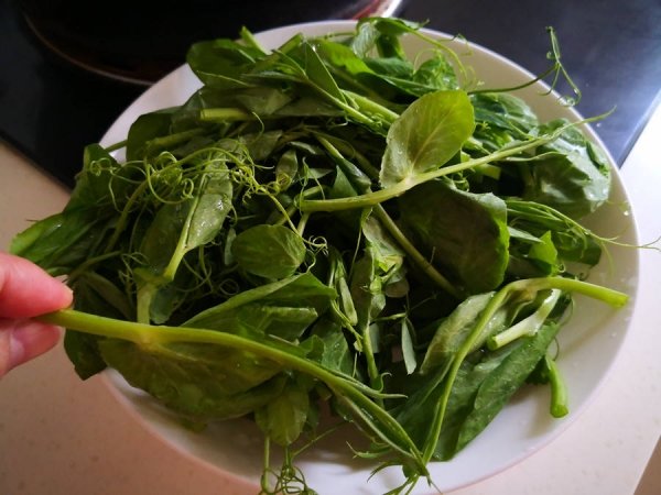 豌豆尖怎么做好吃-豌豆尖的做法5