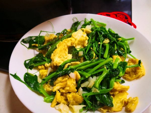 豌豆尖怎么做好吃-豌豆尖的做法9