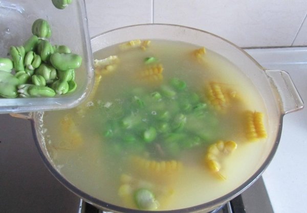 春天健脾祛湿的食物-春天健脾祛湿养肝食疗15