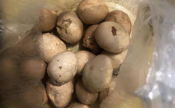 童子尿煮鸡蛋哪里的特产-...