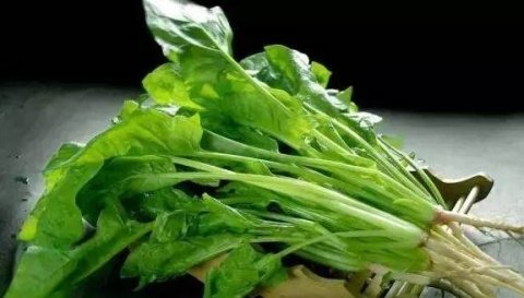 吃菠菜对血糖好吗-吃菠菜对血糖的作用1