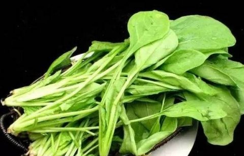 吃菠菜对血糖好吗-吃菠菜对血糖的作用2