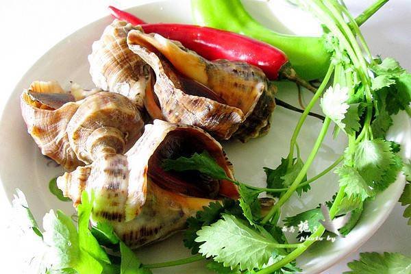 海螺肉怎么做好吃-温拌海螺肉的做法1