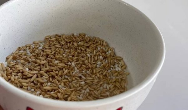 清明节代表性食物-清明节养生原则15