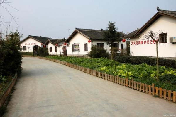 农村房前屋后不允许种菜-农村房前屋后能种蔬菜吗3
