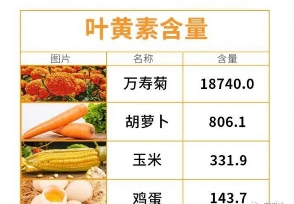 含有叶黄素的食物有哪些-补充叶黄素的食物1