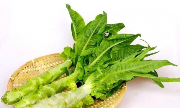 小满节气吃什么养生-小满节气的饮食养生11