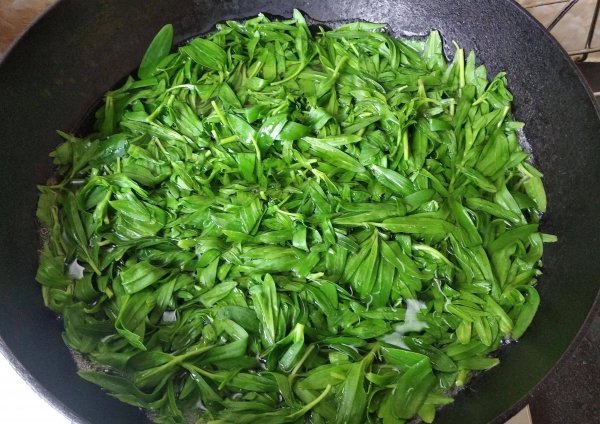 小满气节能吃的山野菜有哪些-小满吃野菜9