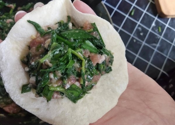 小满气节能吃的山野菜有哪些-小满吃野菜11