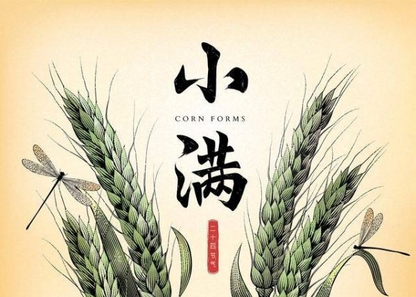 小满节气有什么讲究吗-小满节气养生注意事项1