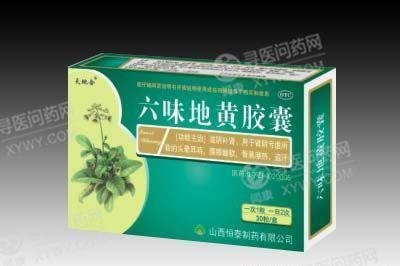 《六味地黄胶囊》说明书
