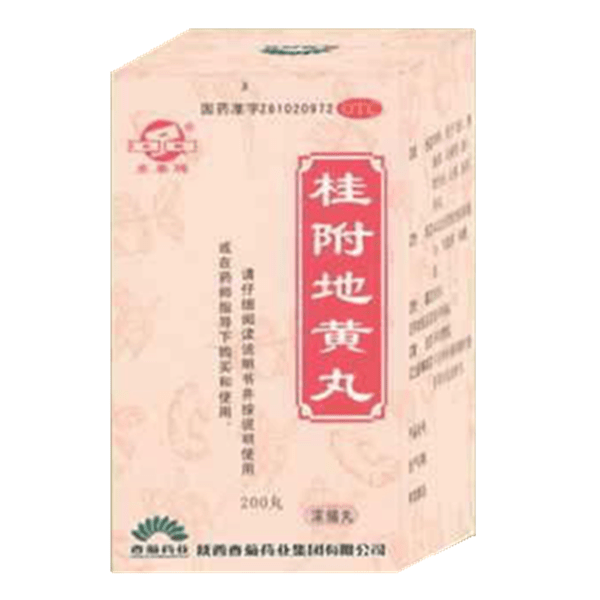 《陕西香菊 桂附地黄丸》...