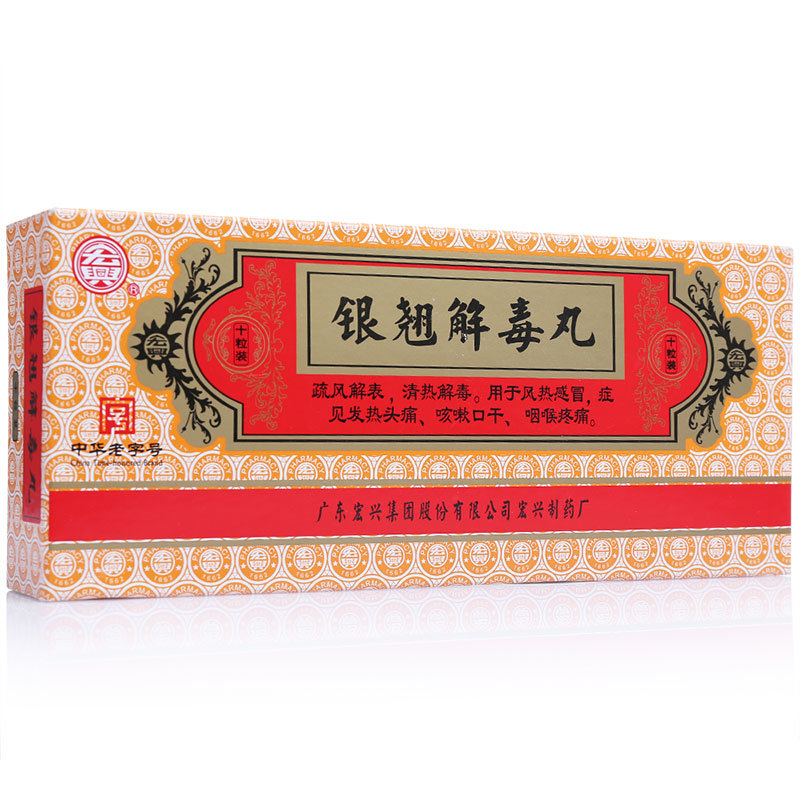 《广东宏兴 银翘解毒丸》说明书