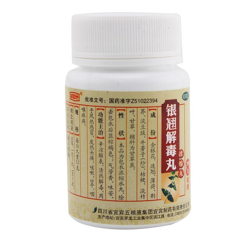 《国药集团宜宾制药 银翘...