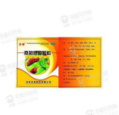 《吉林吉春 桑菊感冒颗粒》说明书
