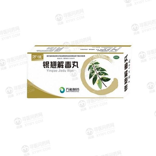 《银翘解毒丸》说明书