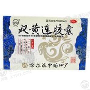 《哈尔滨中药四厂 双黄连胶囊》说明书