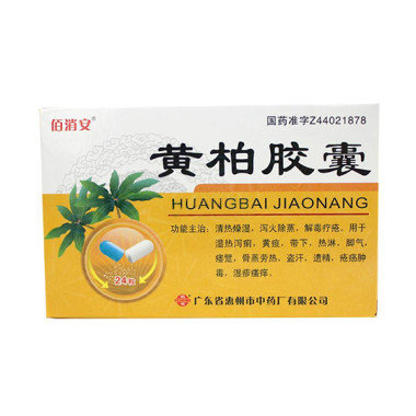 《广东惠州中药 黄柏胶囊...