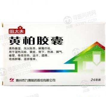 《惠州九惠 黄柏胶囊》说明书