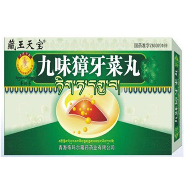 《青海帝玛尔 九味獐牙菜...